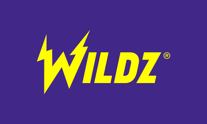 Wildzy logo